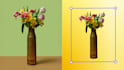 do fast image background removal