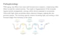 create professional medical powerpoint presentations