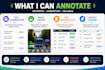 provide accurate ai data annotation and labeling services