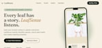 develop a custom flutter app for android and ios