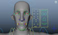 create a full character rig