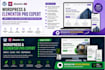 design modern wordpress website as an elementor expert