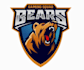 design modern creative bear logo