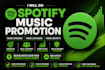 do professional spotify music promotion