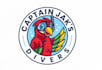 create outstanding parrot logo design