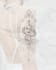 draw a custom unique tattoo design and flash sheet