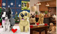 do 3d lego pet, animal moc with step by step instructions in bricklink