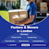 create professional flyers for events, business