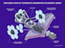 do medical and scientific illustrations