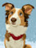 draw disney pet portrait illustration