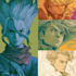 draw anime and manga illustrations