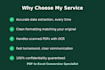 convert PDF to excel accurately and fast