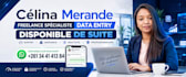 do accurate data entry, copy paste and web research