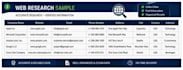 excel data entry,copy past, and web reasearch professionally