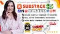 do organic substack promotion for newsletter growth and active subscribers