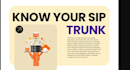 provide voip did number ,call center , inbound outbound call 3cx