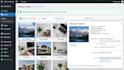 fix wordpress bugs, errors, elementor issues and technical problems