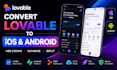 build lovable ai webapp lovable dev vibe coding fix lovable bugs supabase replit