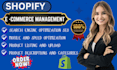 optimise shopify mobile speed SEO product listing upload description categories