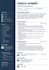 design a professional ats friendly resume CV