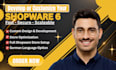 develop shopware 6 store fix shopware 6 bugs customize shopware plugin