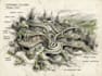 do hand drawn architectural sketches