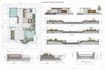draw landscape design sections, elevation, detailed drawings
