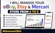 be your ebay virtual assistant, ebay store manager, and ebay listing expert