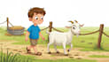 create children book illustrations in my style