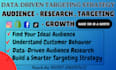 develop a data driven target audience strategy for business growth