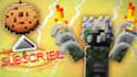 do profesional minecraft profile pictures and banners