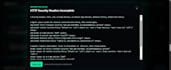 do a manual website security audit