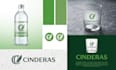 create a professional brand identity and branding design