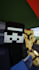 make professional minecraft animations