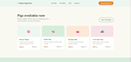do web development and software development and UI designing