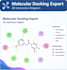 perform professional molecular docking and interaction analysis