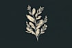 design botanical hand drawn logo