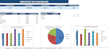 create a professional excel dashboard, mis report