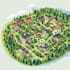 create a beautiful campus map illustration