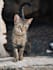 editor de adove lightroom
