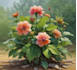 draw botanical illustration flower, plant