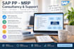 provide sap pp consulting, configuration and troubleshooting