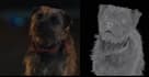 do any 3d animal model 3d animation 3d creature 3d character animation cgi vfx