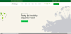 do develop a modern react js website or social media web app using vite