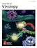create scientific illustrations and graphical abstracts for your paper