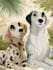 draw a disney pet portrait illustration