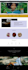 design wix ecommerce store, wix website or dropshipping store