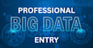 big data entry bulk data collection ms excel