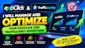 manage and optimize your exoclick and trafficjunky ad campaign