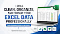 clean, organize, and format your excel data professionally